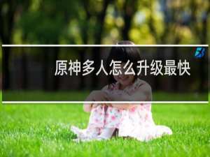 原神多人怎么升级最快