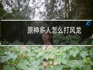 原神多人怎么打风龙