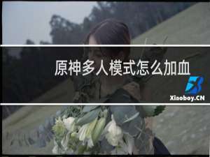 原神多人模式怎么加血