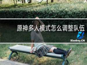 原神多人模式怎么调整队伍