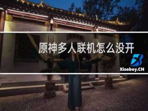 原神多人联机怎么没开