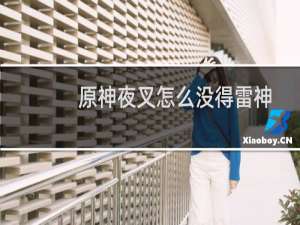 原神夜叉怎么没得雷神