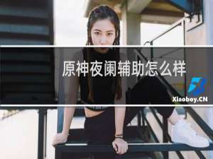 原神夜阑辅助怎么样