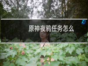 原神夜鸦任务怎么