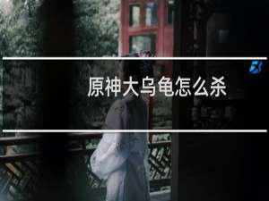 原神大乌龟怎么杀