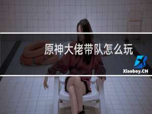 原神大佬带队怎么玩