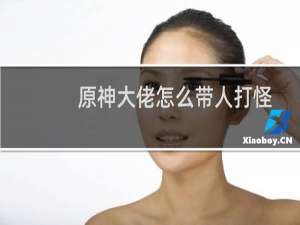 原神大佬怎么带人打怪