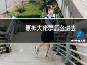 原神大佬群怎么进去