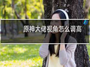 原神大佬视角怎么调高