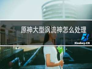 原神大型涡流神怎么处理