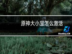 原神大小宝怎么激活