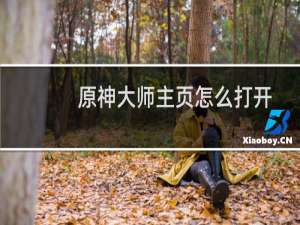 原神大师主页怎么打开