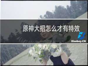 原神大招怎么才有特效