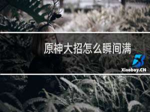 原神大招怎么瞬间满