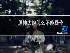 原神大炮怎么不能操作