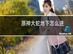 原神大蛇地下怎么进