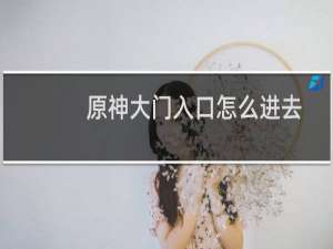 原神大门入口怎么进去