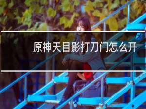 原神天目影打刀门怎么开