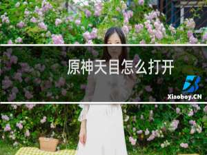 原神天目怎么打开