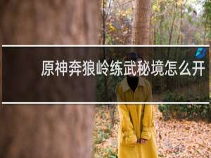 原神奔狼岭练武秘境怎么开