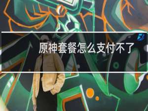 原神套餐怎么支付不了