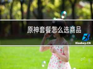 原神套餐怎么选商品