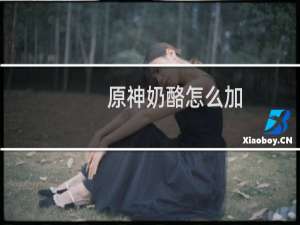 原神奶酪怎么加