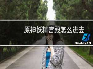 原神妖精宫殿怎么进去