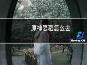 原神妻稻怎么去