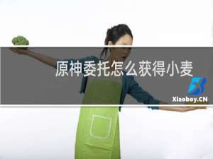 原神委托怎么获得小麦