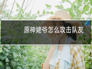 原神姥爷怎么攻击队友