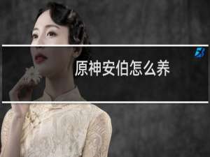 原神安伯怎么养