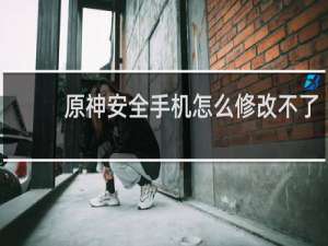原神安全手机怎么修改不了