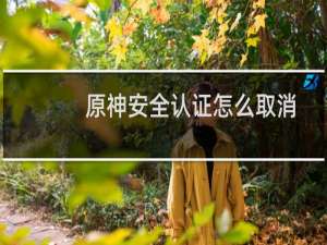 原神安全认证怎么取消