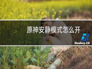 原神安静模式怎么开
