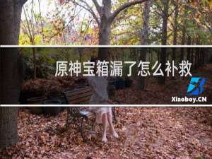 原神宝箱漏了怎么补救