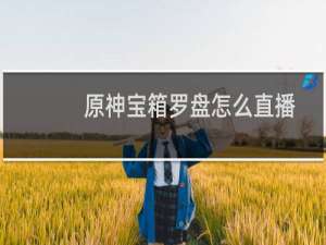 原神宝箱罗盘怎么直播