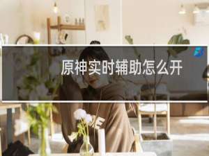 原神实时辅助怎么开