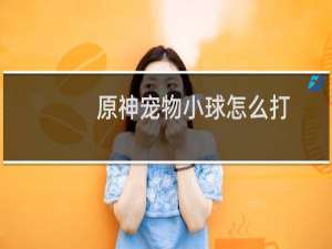 原神宠物小球怎么打