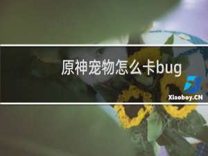 原神宠物怎么卡bug