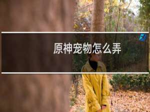 原神宠物怎么弄