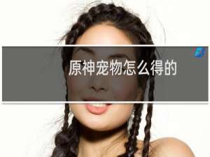 原神宠物怎么得的