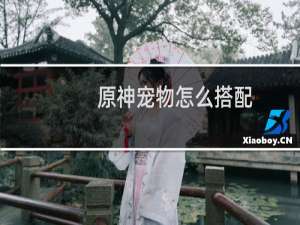 原神宠物怎么搭配