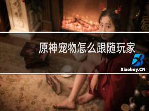 原神宠物怎么跟随玩家