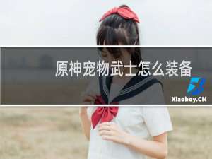 原神宠物武士怎么装备