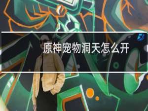 原神宠物洞天怎么开