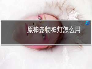 原神宠物神灯怎么用