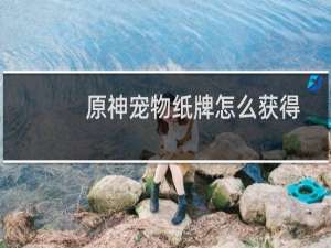 原神宠物纸牌怎么获得