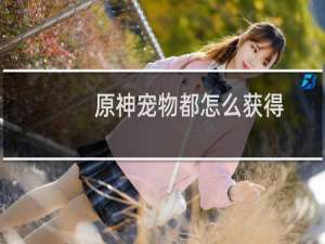 原神宠物都怎么获得