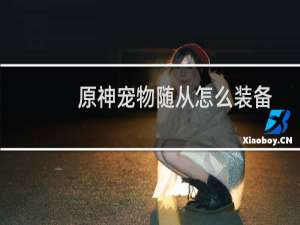 原神宠物随从怎么装备